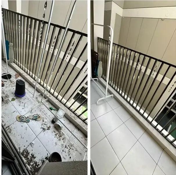 Outdoor Cleaning Services Dubai: Keeping Your Home Exterior Fresh, Safe, and Beautiful